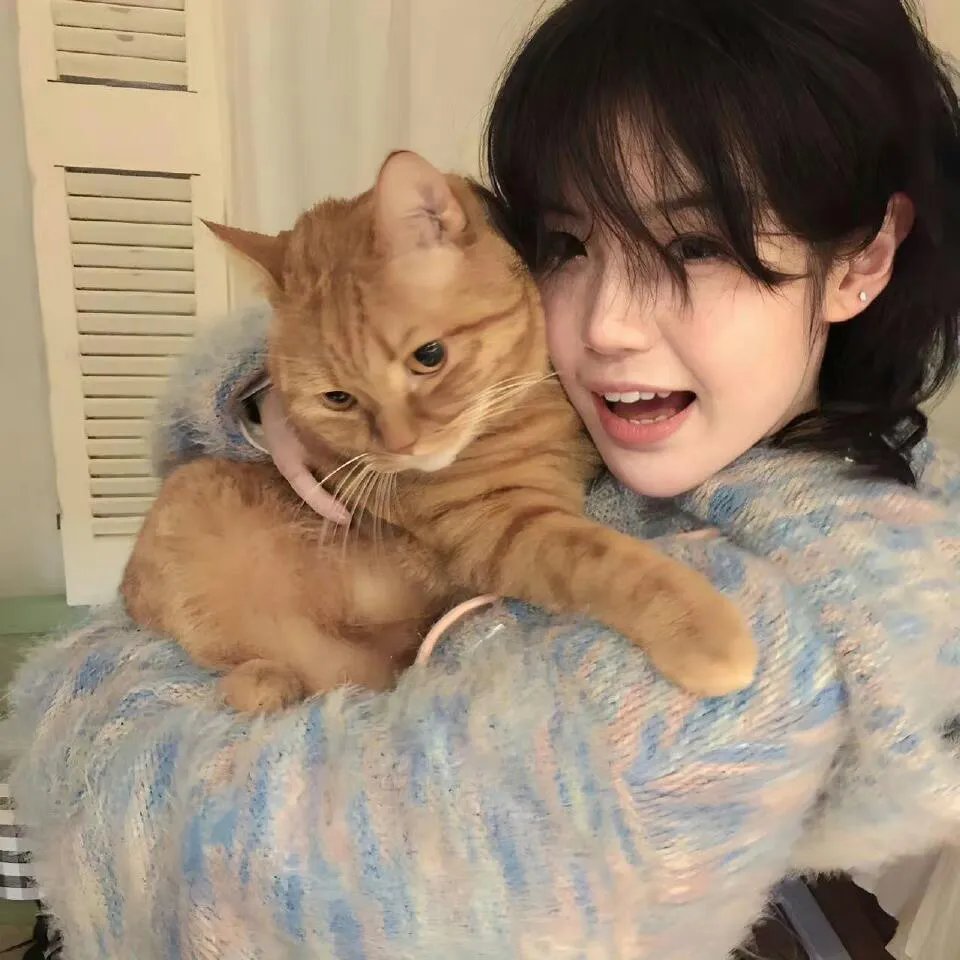 花生酱猎鹰的愿望